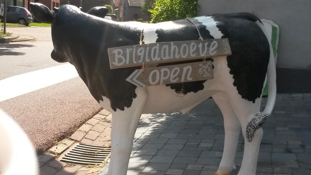 Brigidahoeve Maastricht Eksteriør bilde